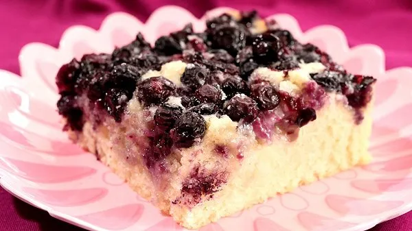 Slice of blueberry snack cake on a pink plate.