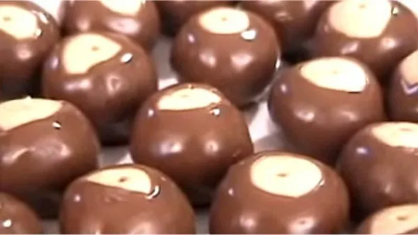 Closeup of rows of chocolate covered Buckeyes.