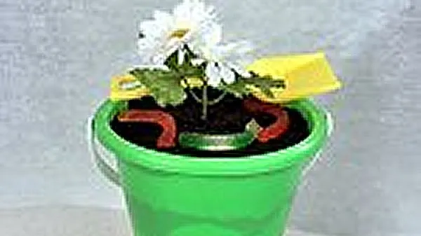 Dirt cake in a green pale, topped with gummy worms, a fake white flower and a yellow scoop.