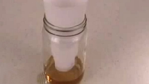 Homemade Gnat Trap